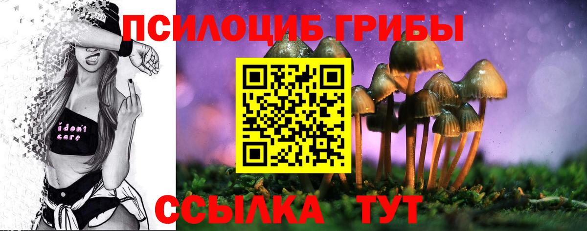 Галлюциногенные грибы MAGIC MUSHROOMS Курчатов
