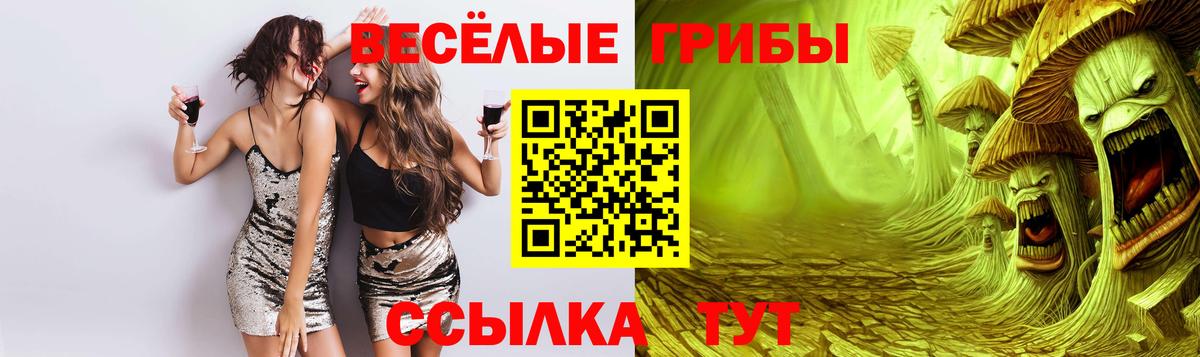  КОКАИН Курчатов